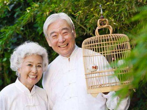 养老机构